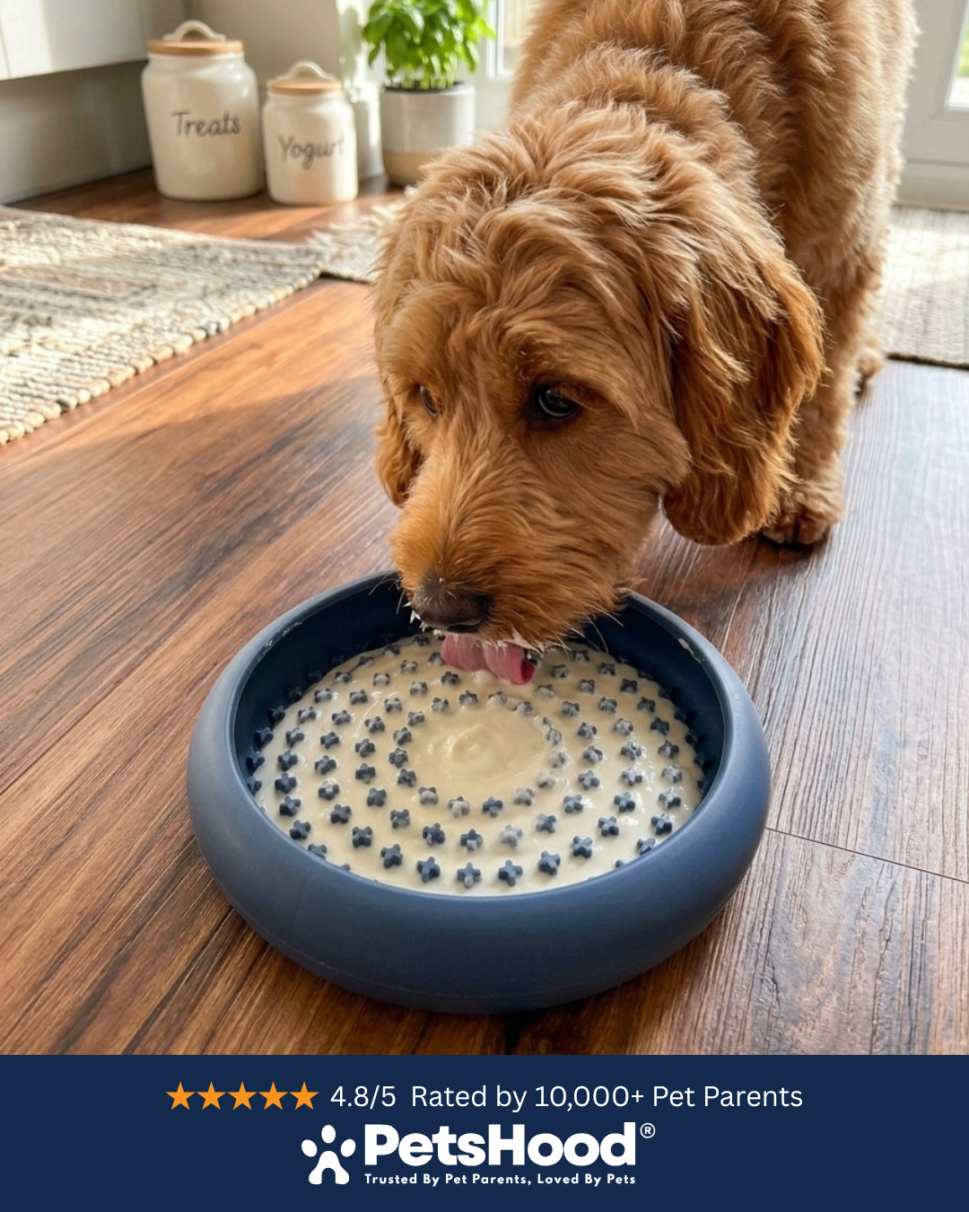 PetsHood® Slow Feed Bowl