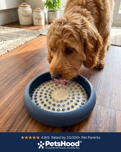 PetsHood® Slow Feed Bowl